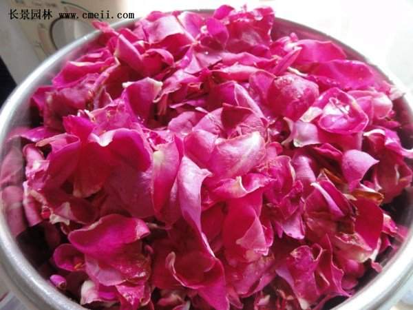 物美價廉的食用玫瑰在哪買？